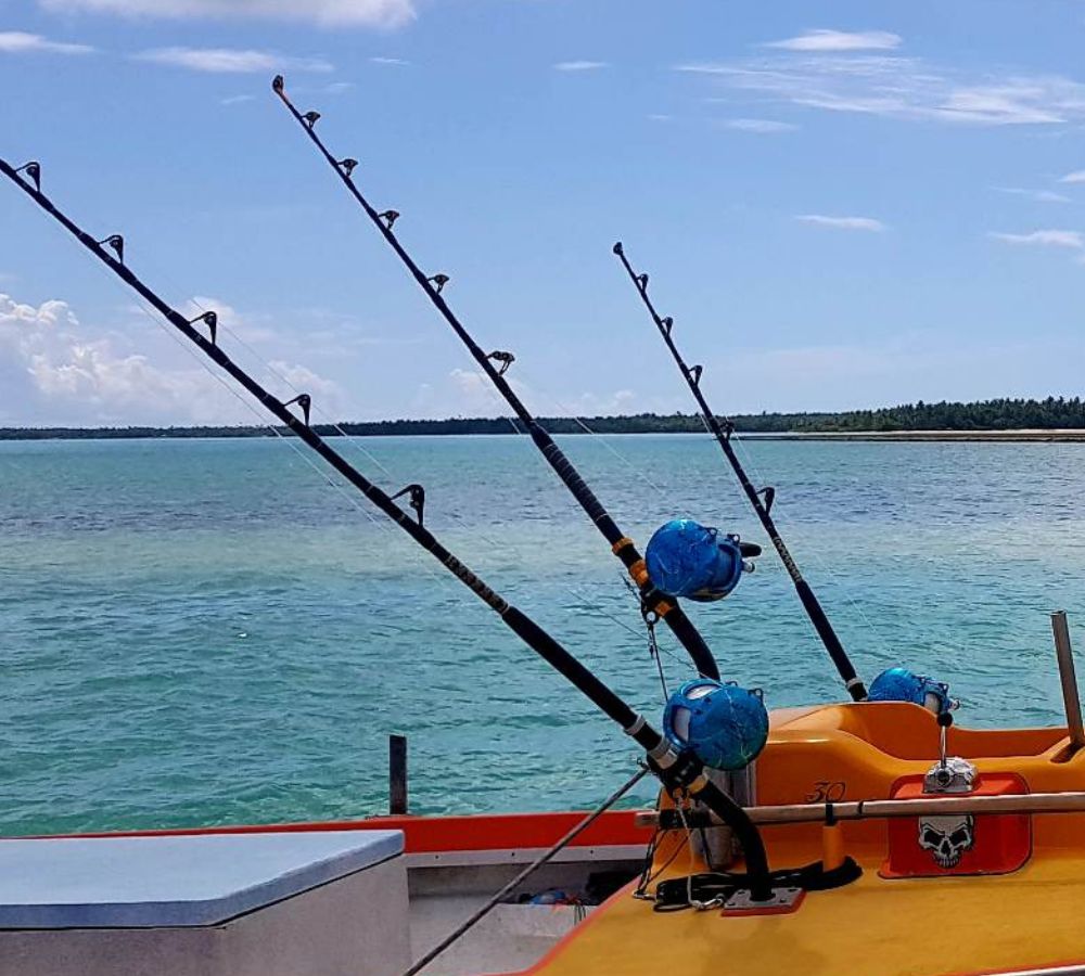 Pêche à la ligne